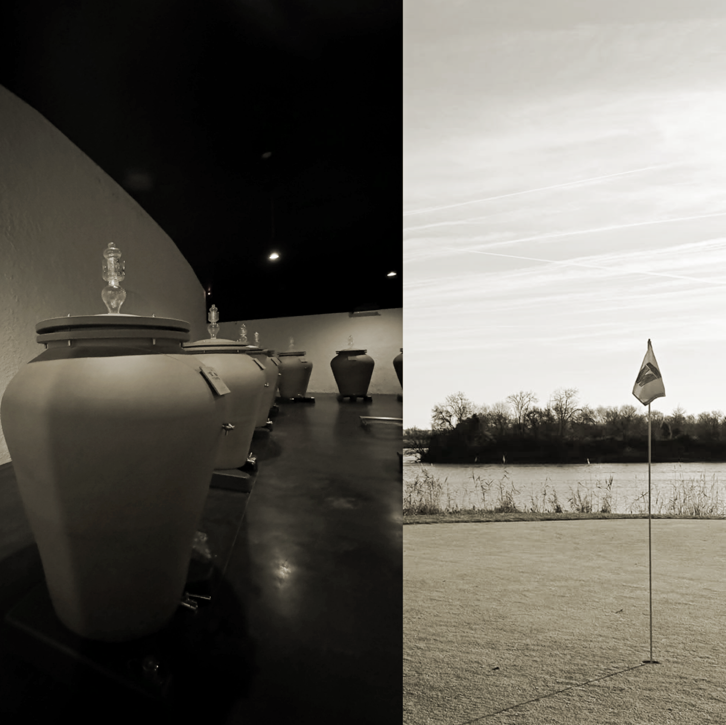 Ouverture WT — Bordeaux, vin et golf