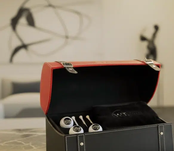 Écrin WT — mise en scène salon épuré