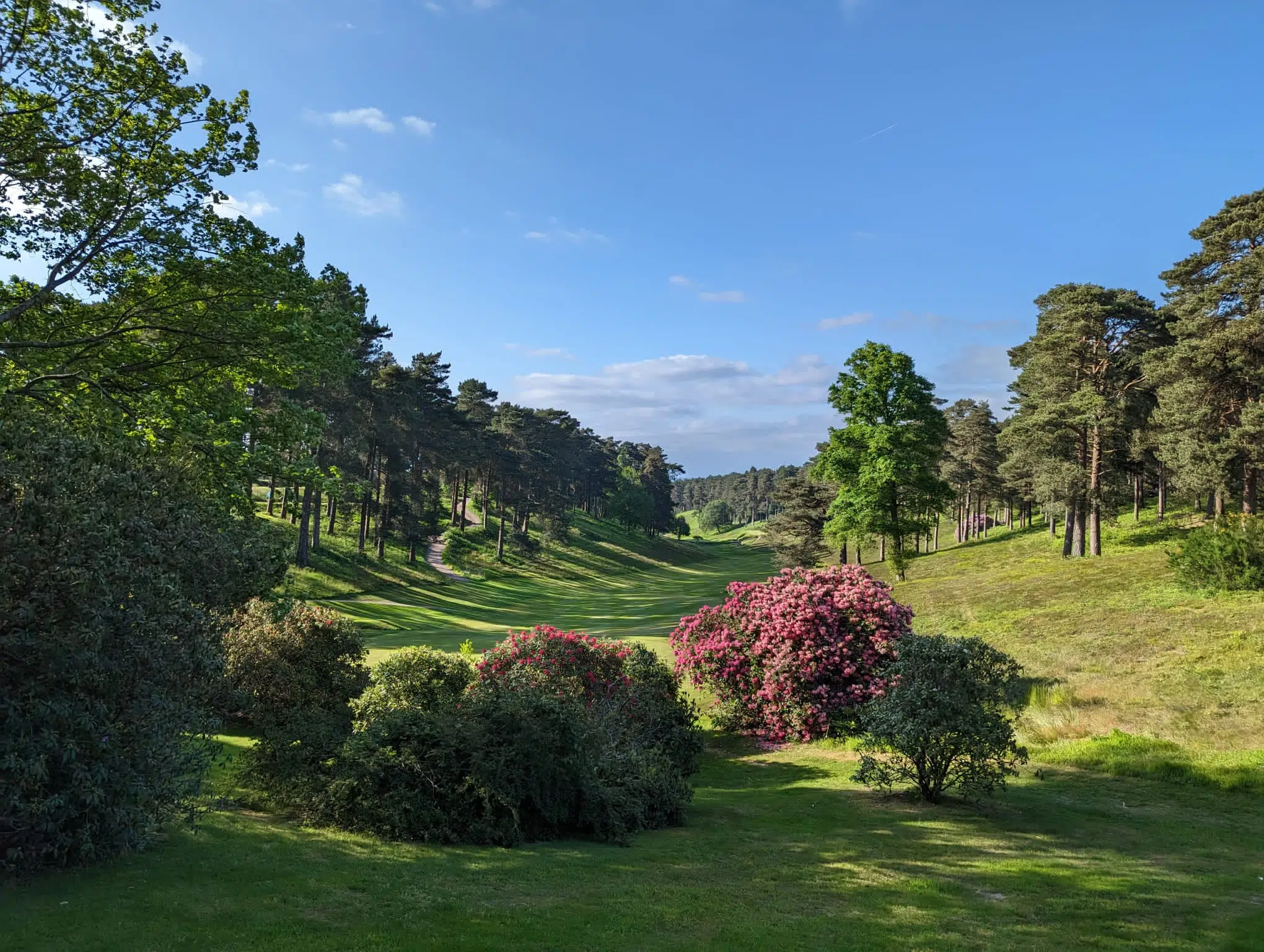 Parcours de golf britannique visite par la Maison Wines and Tees